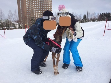 犬好き必見 北海道で貴重な犬ぞり体験 トリマーが教える ケア用品の使い方